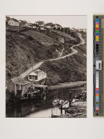 Albion, North Coast