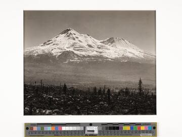 Mt. Shasta