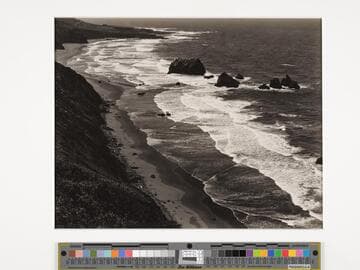 Coast - Fort Bragg