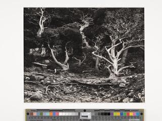 Go to image 2.