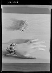 Go to image 1.