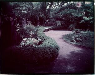 Go to image 43.