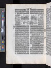 Go to image 246.