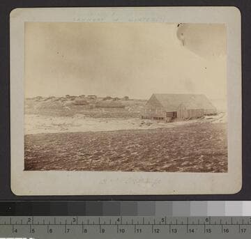 Cannery in winter