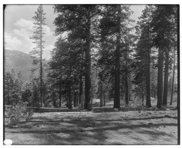 Big Creek Scenery