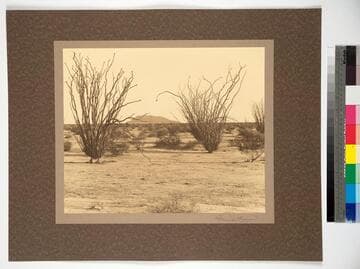 The Colorado Desert, Southern California