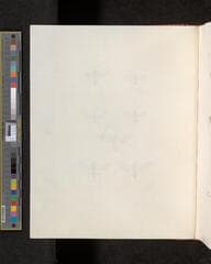 Go to image 104.