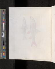 Go to image 298.