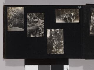 Go to image 82.