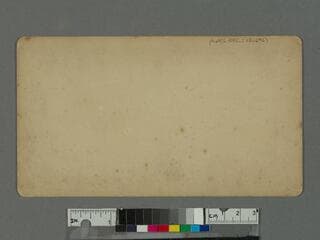 Go to image 2.