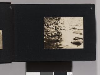 Go to image 11.