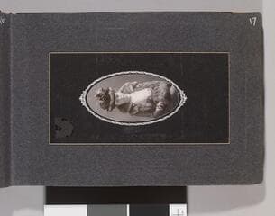 Go to image 19.