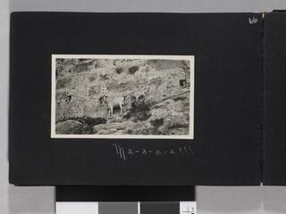 Go to image 68.