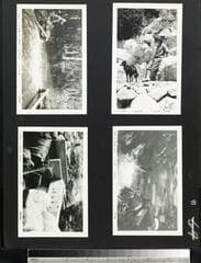 Go to image 102.