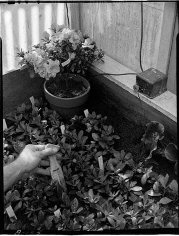 Soil Heating