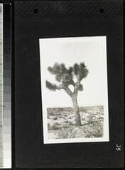 Go to image 37.