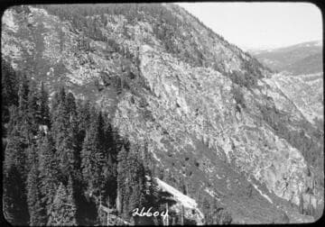 Fish Valley