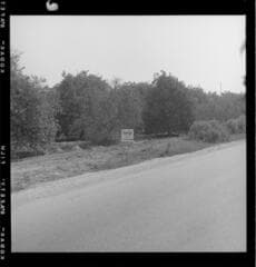 Go to image 6.