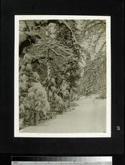 Go to image 26.