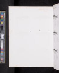 Go to image 1113.