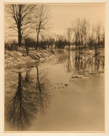 Winter Reflection