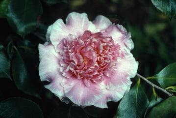 Go to image 3.