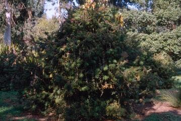 Go to image 4.