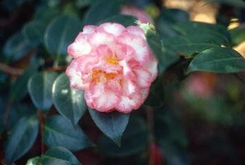 Go to image 4.