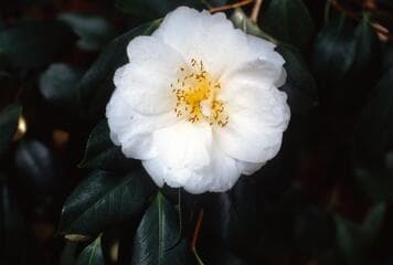 Go to image 3.