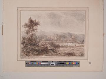 Near Siver Dale