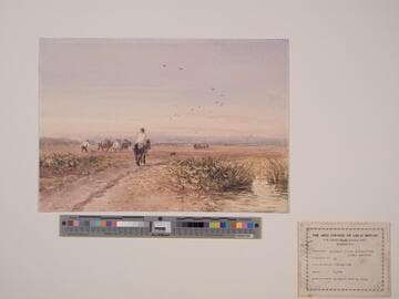 Ploughing