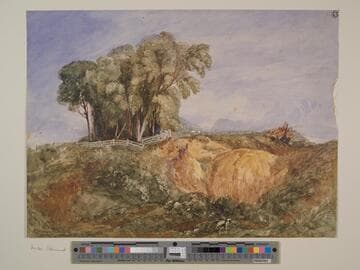 Landscape