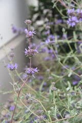 Go to image 2.