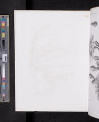 Go to image 613.