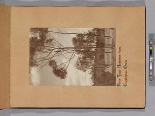 Go to image 11.