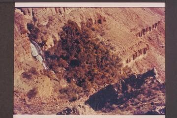 Thunder Spring