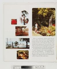Go to image 7.
