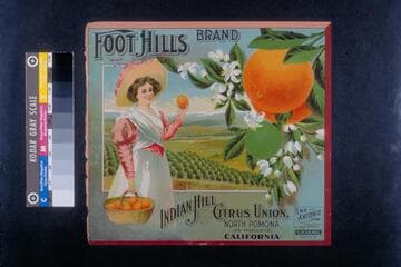 Foot hills brand