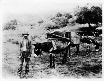 Typical old prospector of the gold rush days of 1849