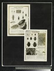 Go to image 105.